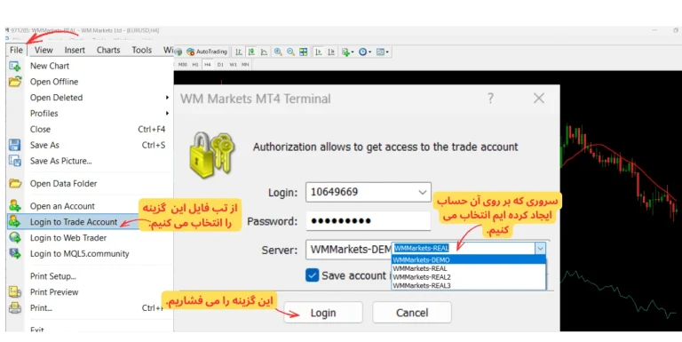 نحوه اتصال بروکر ویندزور به متاتریدر