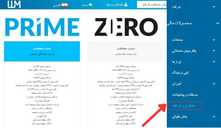 ریبیت ویندزور