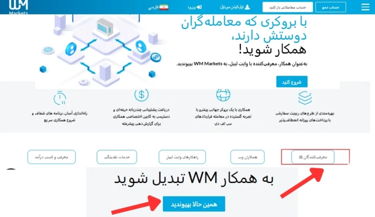 ریبیت ویندزور