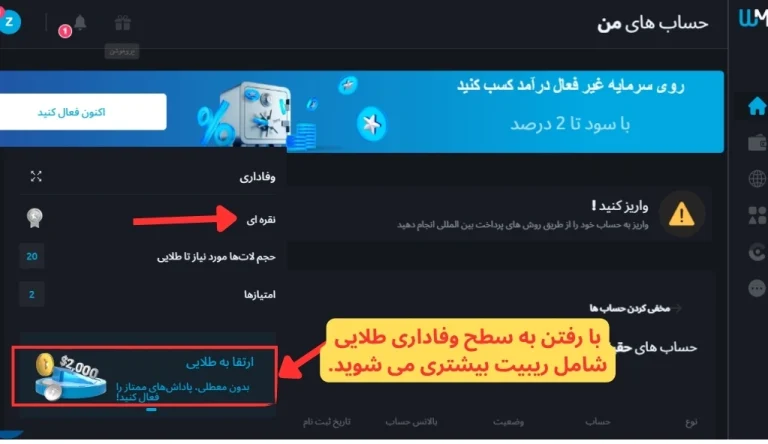 ریبیت ویندزور
