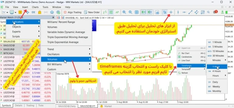 معاملات ارز دیجیتال در ویندزور